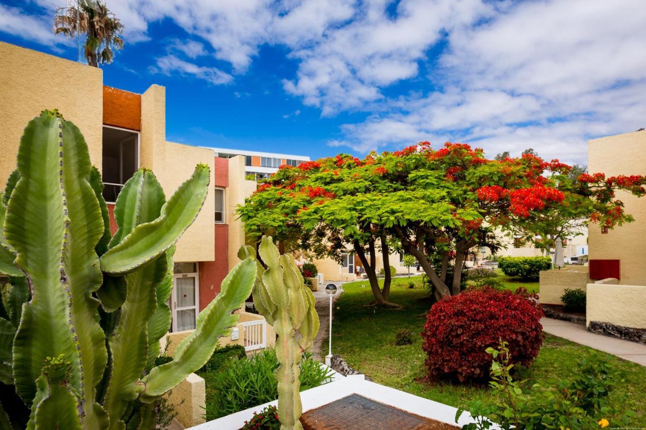 Bungalow Costa Adeje Cortijo 1-8 美洲海滩 外观 照片